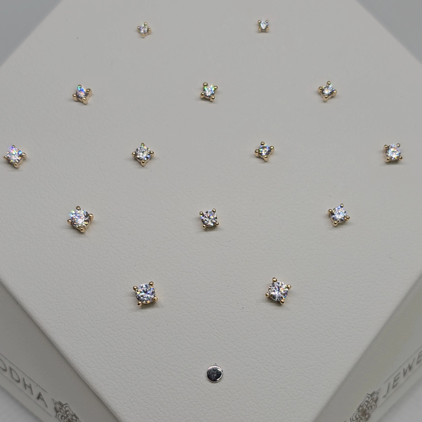 500062614_1245614747566939_7978814337561662566_n