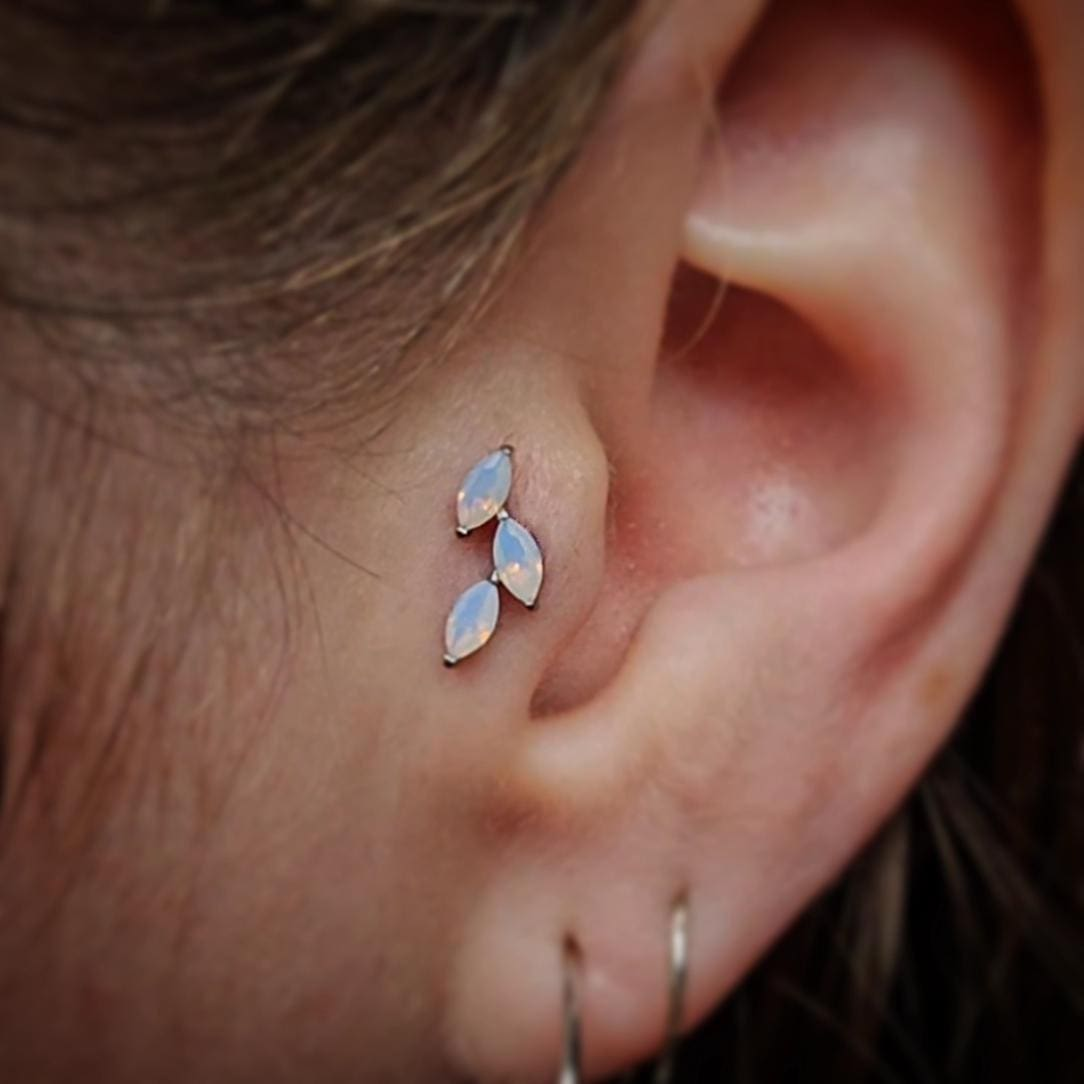 IMG_20240516_130147_313